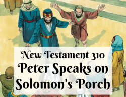 NT 310 - Peter Speaks on Solomon's Porch
